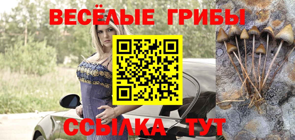 Галлюциногенные грибы ЛСД  Галлюциногенные грибы Psilocybe  Майский  Вход с VPN 